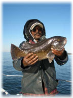 NY Fishing Charters